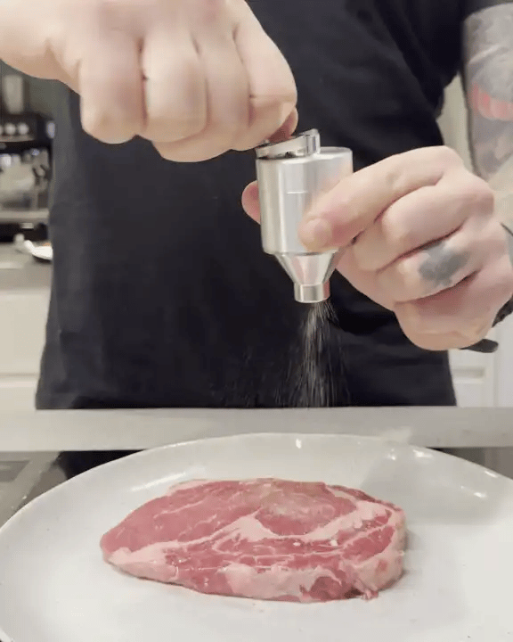 Salt Grinder